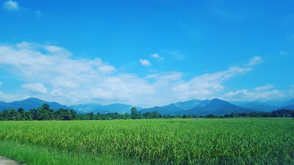 Ton Lang Homestay Pua Luaran gambar