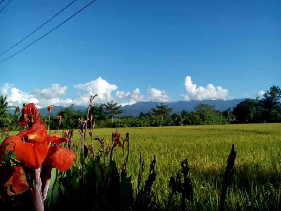 Ton Lang Homestay Pua Luaran gambar