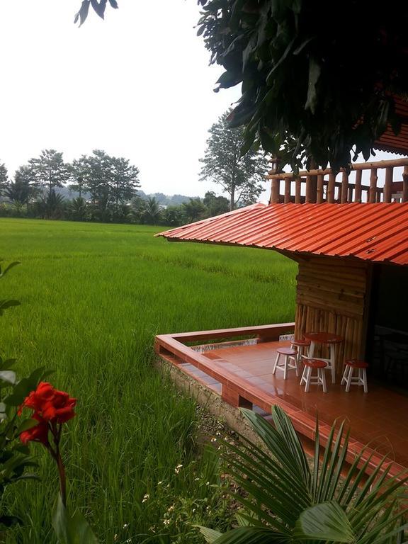 Ton Lang Homestay Pua Luaran gambar