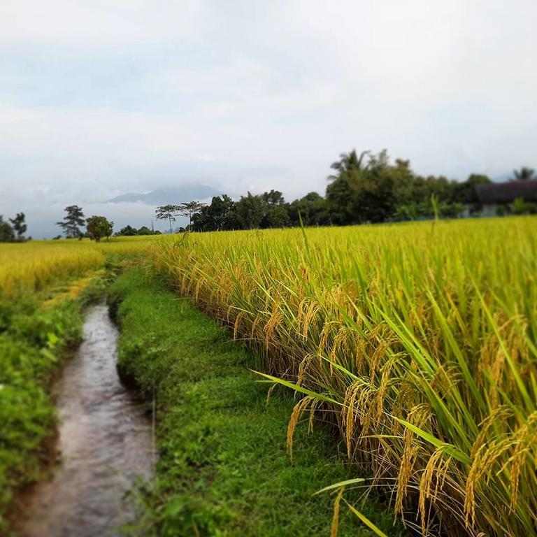 Ton Lang Homestay Pua Luaran gambar