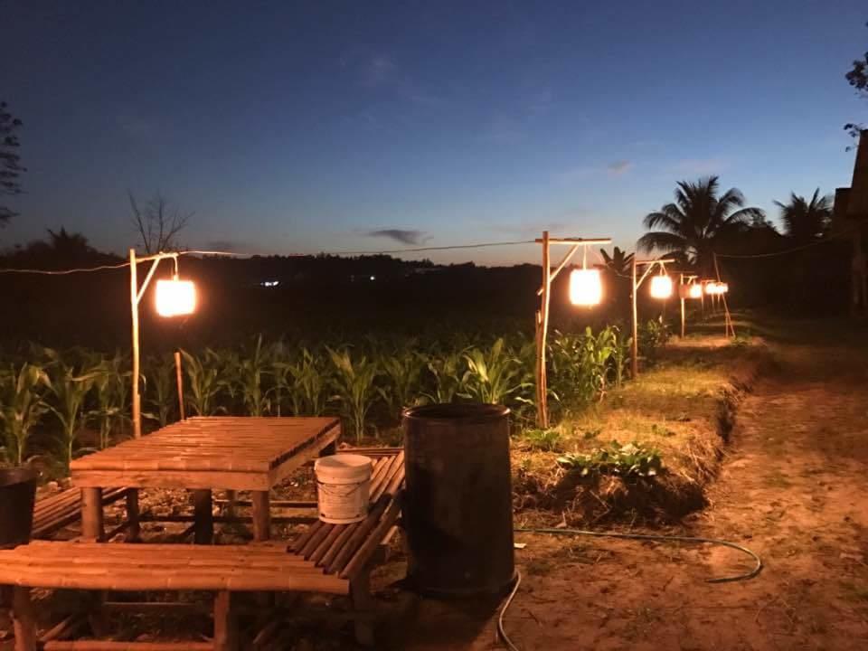 Ton Lang Homestay Pua Luaran gambar