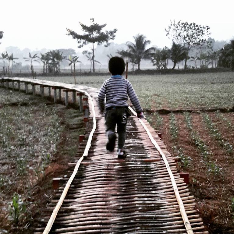 Ton Lang Homestay Pua Luaran gambar